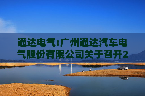 通达电气:广州通达汽车电气股份有限公司关于召开2025年第一次临时股东大会的通知