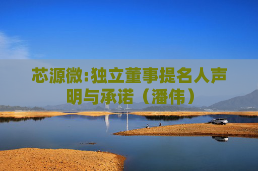 芯源微:独立董事提名人声明与承诺（潘伟）
