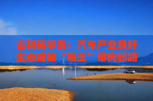 吉利杨学良：汽车产业良好生态或被“卷王”带向邪路