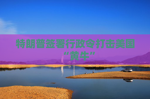 特朗普签署行政令打击美国“黄牛”