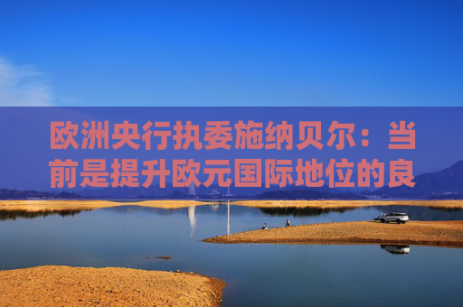 欧洲央行执委施纳贝尔：当前是提升欧元国际地位的良机