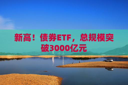 新高！债券ETF，总规模突破3000亿元