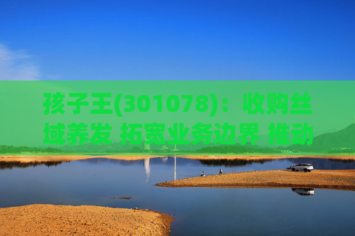 孩子王(301078)：收购丝域养发 拓宽业务边界 推动产业协同发展