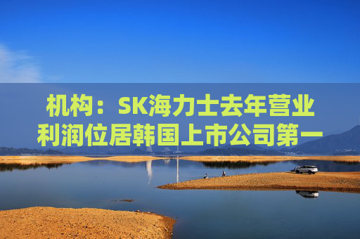 机构：SK海力士去年营业利润位居韩国上市公司第一，首次超过三星电子