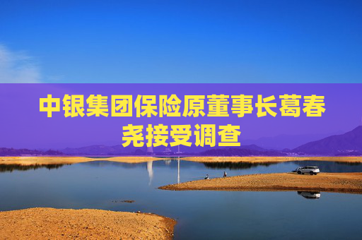 中银集团保险原董事长葛春尧接受调查  第1张