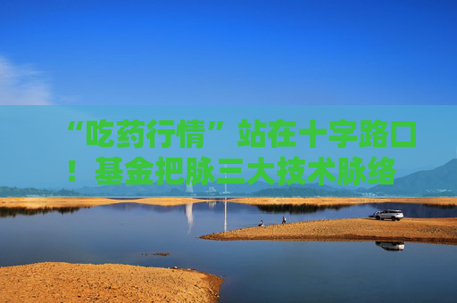 “吃药行情”站在十字路口！基金把脉三大技术脉络
