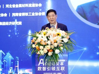 AI驱动变革 数智引领互联 | 2025第十四届中国钢铁物流高峰论坛圆满落幕