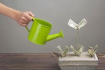 如何了解股权质押相关情况？控股股东质押股权的原因是什么？