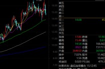 688223异动，事关太空光伏！