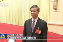 许昆林、潘功胜、倪岳峰、唐登杰、龚正，出镜谈体会