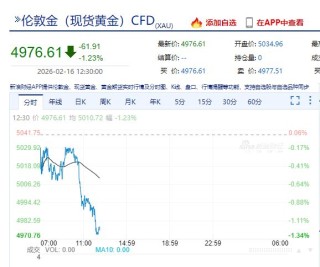 现货黄金，失守5000美元！港股V型反转，AI应用大涨！半导体全线爆发，这只个股涨逾14%，什么情况？