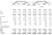深圳做车、欧洲卖爆，85后小伙要去IPO了