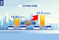 日本人正在“埋单”