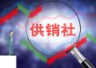如何认识证券与期货的关系？这种关系对投资决策有何影响？
