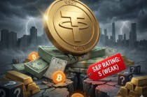 全球最大庞氏骗局2.0：标普的USDT（Tether）报告解析