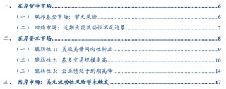 华创证券张瑜：暗流涌动 美国金融市场风险全景扫描