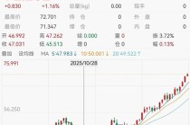 11只白银概念股年涨幅超100%