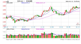年度盘点：2025年饲料玉米需求增量，2026年存减少预期