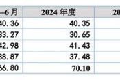 海菲曼IPO期间更换审计机构：退货比例持续增加，财务总监一年三换