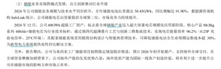 榜首依旧是宁德时代！2024年储能业务出货量TOP10盘点