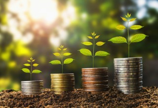 如何分析金融市场的行情趋势？这种分析如何指导投资决策？