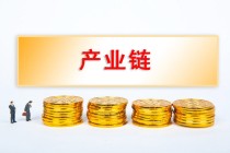 如何理解豆粕期权套利保证金？其在套利中起什么作用？