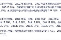 祥源文旅会计差错背后藏着实控人俞发祥资金占用 频繁并购经营质量待考