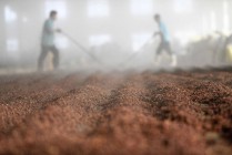 白酒产能结构第二轮调整来了？这次名酒也未必安全