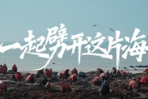 一起劈开这片海：度小满见证乳山百亿牡蛎产业的女性微光