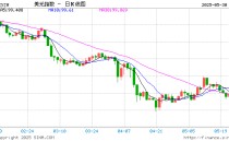 去美元化尚未开始 但全球都在加速多元化配置