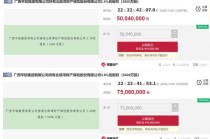 北部湾财险近4成股权遭质押、又有6%股权摆上法拍“货架”，公司合规待改善