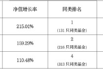 华商基金胡中原在管华商润丰灵活配置混合C过去1年涨幅高达110%