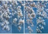如何优化中介贴条寻找房源的文案？大方中心楼盘的吸引力在哪里？