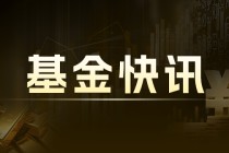 中证系列等指数下跌：中小企业数字化加速