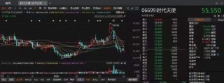 时代天使出海不易，盈利能力待提振