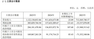 中微半导拟斥1.6亿元增资珠海博雅，后者已连续三年亏损