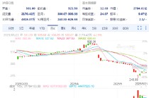 联合健康暴跌震惊华尔街：曾有分析师早有预警