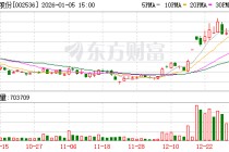 飞龙股份：截至2025年12月31日最新股东户数9万余户