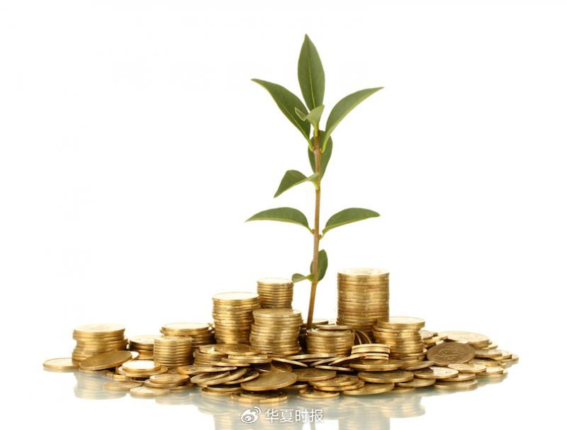 一季度狂揽134亿元！金价狂飙下8家黄金上市公司业绩齐飞  第1张