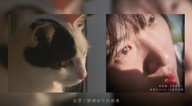 手机如何拍电影？金鸡手机电影计划投稿导演用华为Mate 70系列交出答卷  第5张