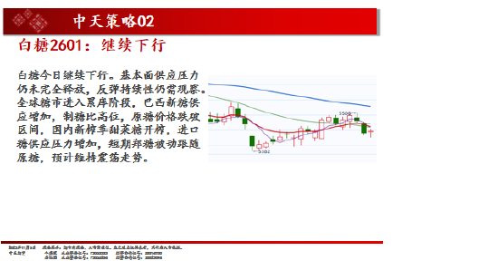 中天期货:白银仍在震荡 棕榈超跌反弹 第16张 中天期货:白银仍在震荡 棕榈超跌反弹 第16张