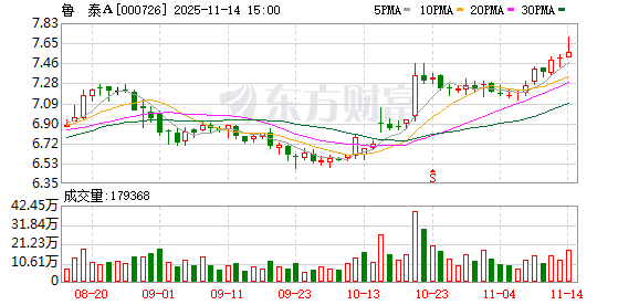 鲁泰Ａ：公司战略部门对全球潜在投资区域和市场保持持续关注  第1张